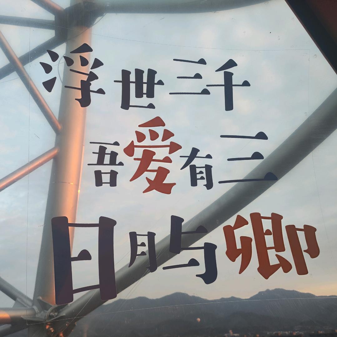 胡教练的骑士团