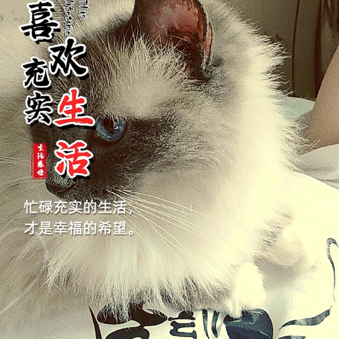 酒妹