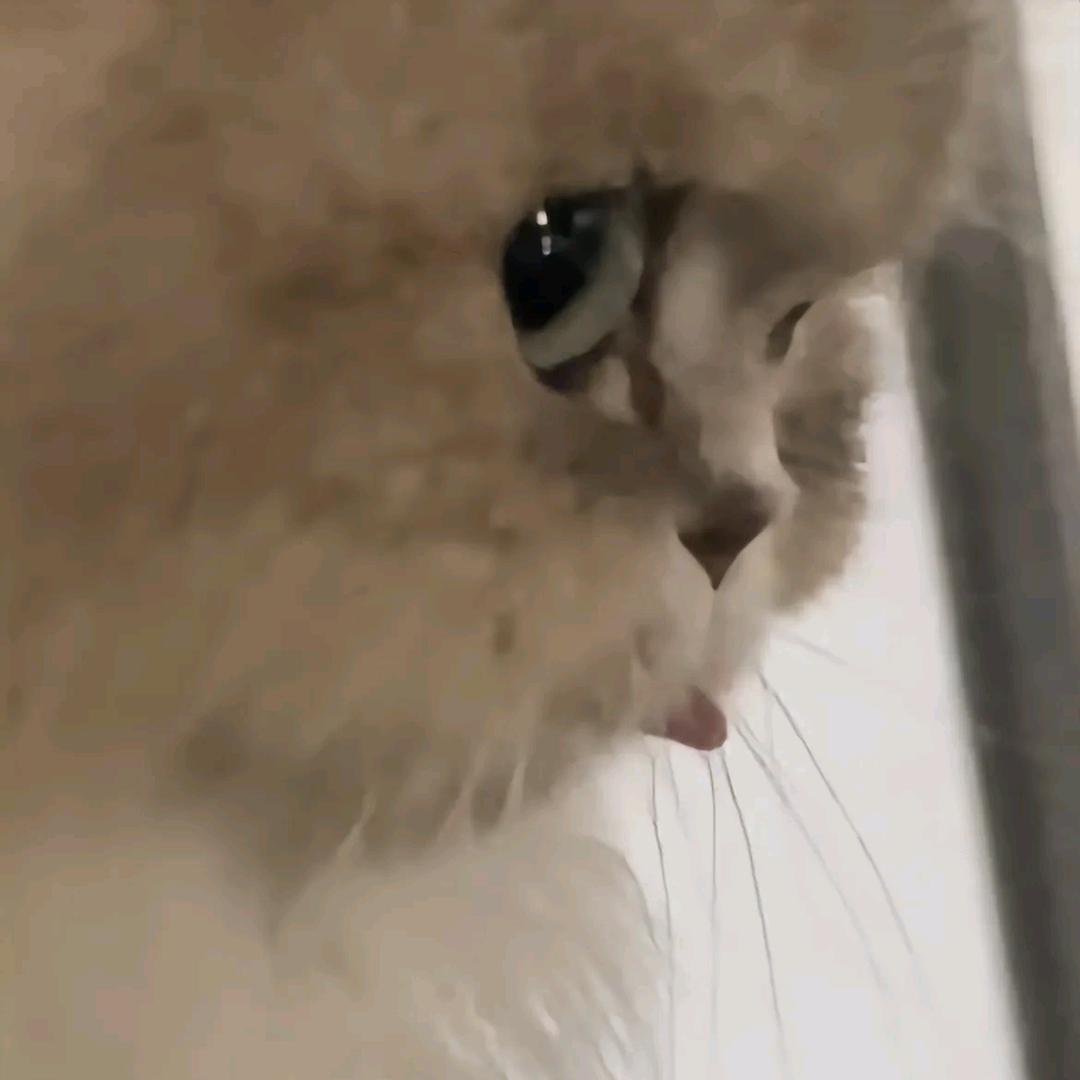 阿肉