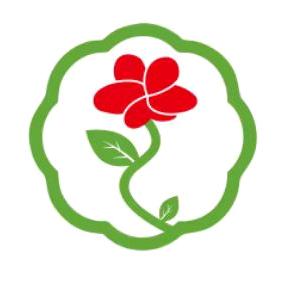 绽放春天团