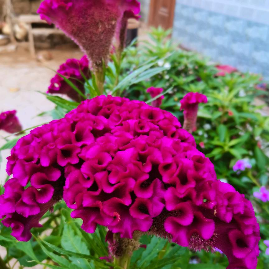 用户537201954017 常长