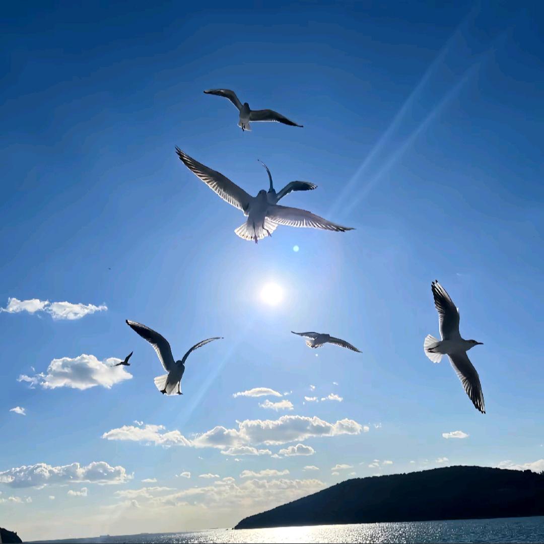 浪迹天涯。