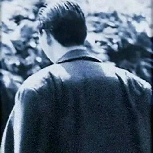文文尔雅。