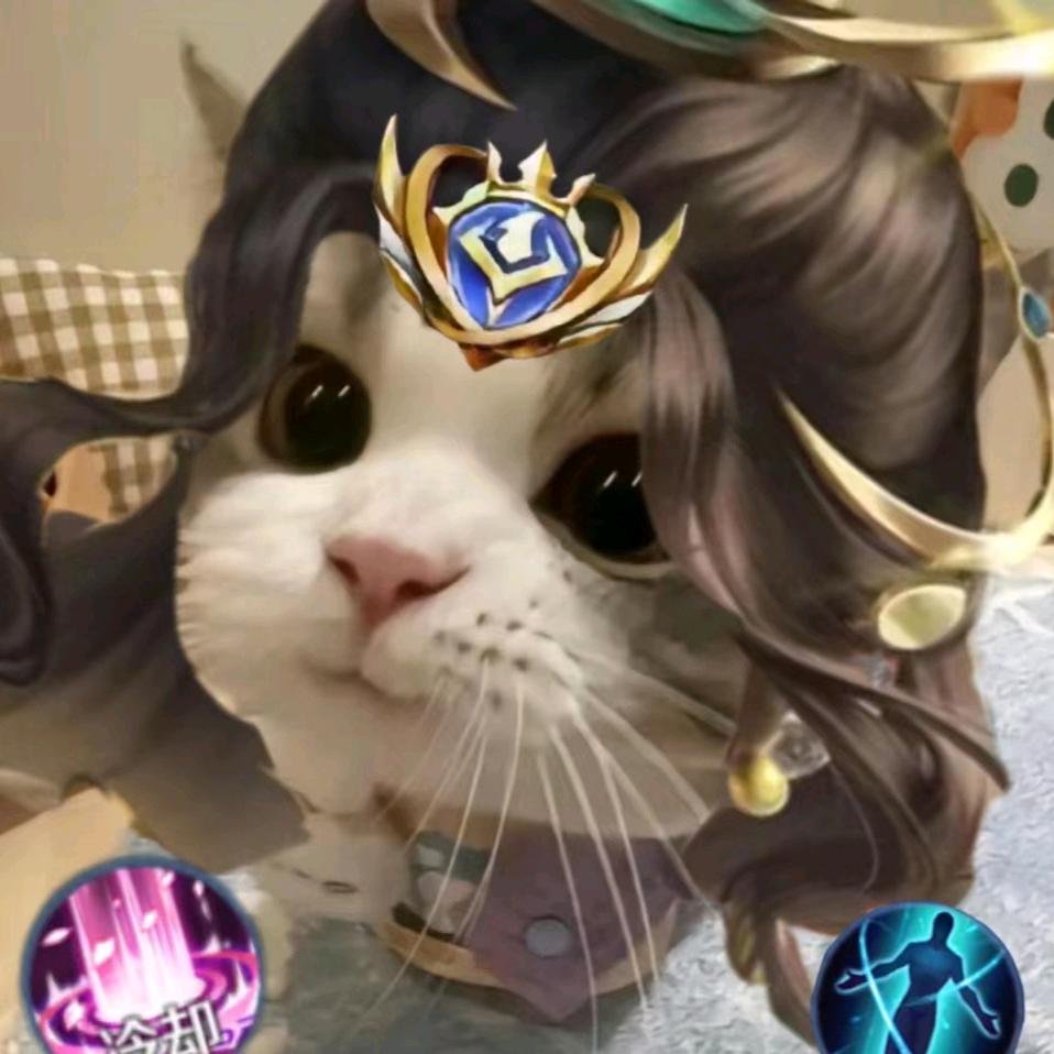 佳.