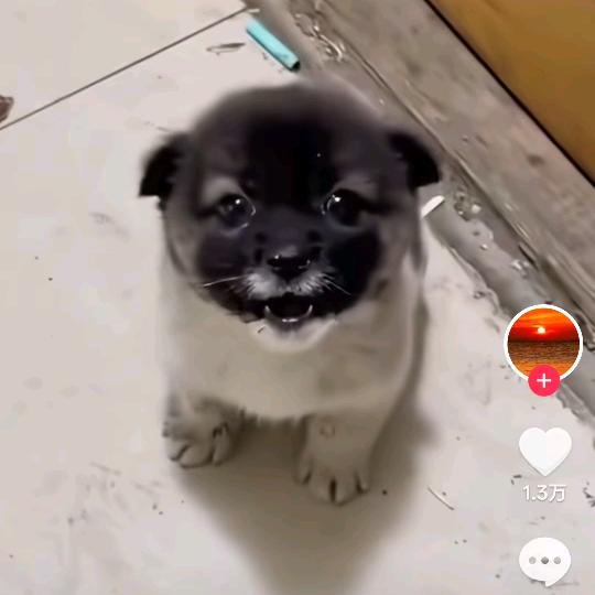 亿吨王