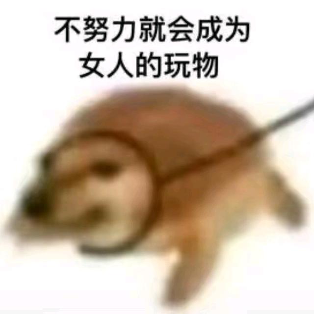 王智前