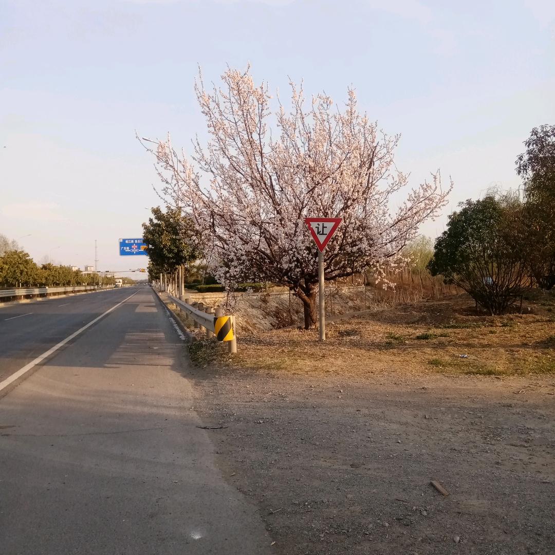 专业安全工程师