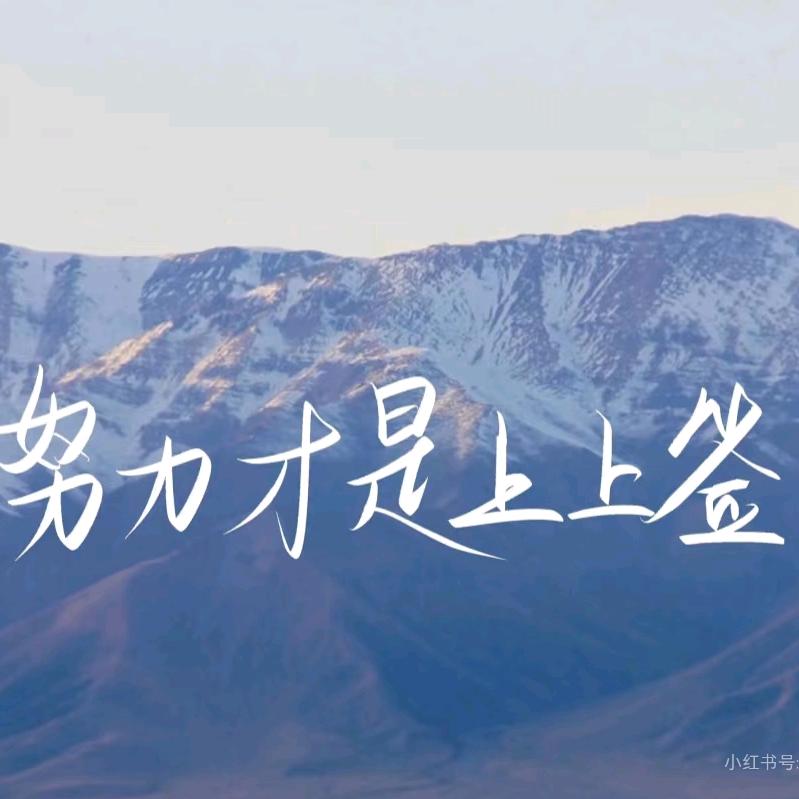 本地生活全域运营