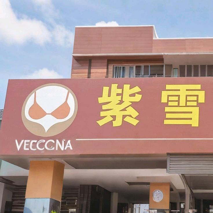 紫雪内衣官方号