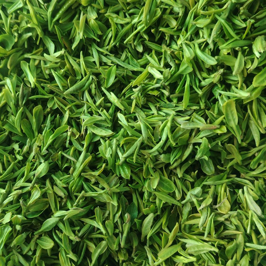 绿茶红茶 山前茶厂