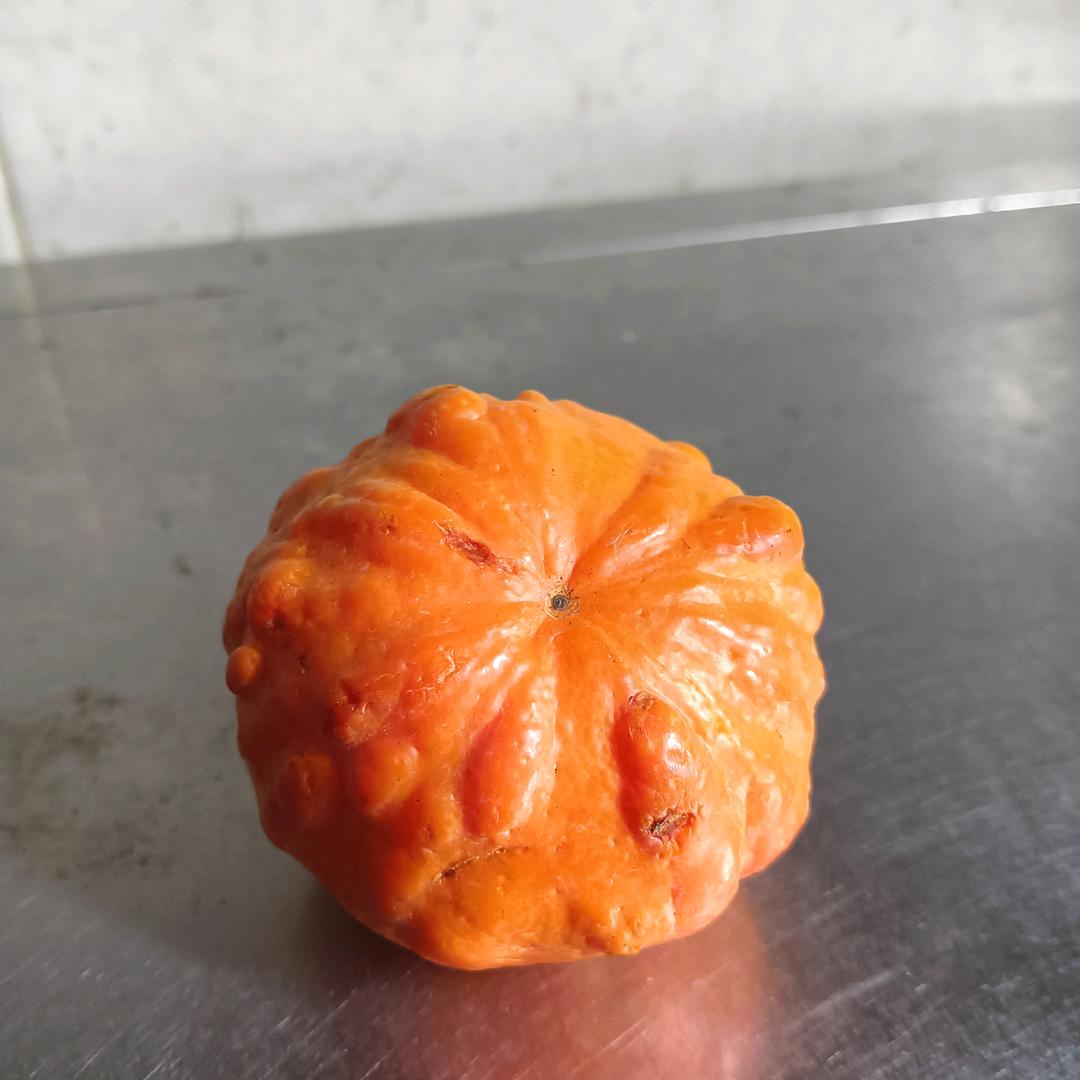 许谦安（见过谦谦版）