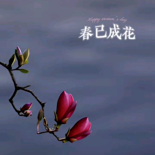 花落知多少🍂🍂🍂