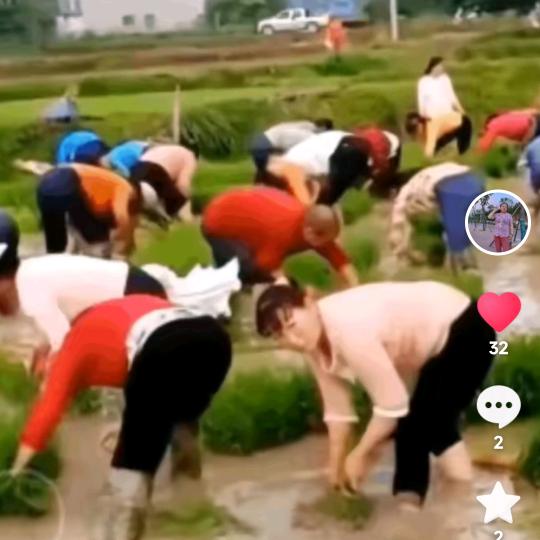 小英姐