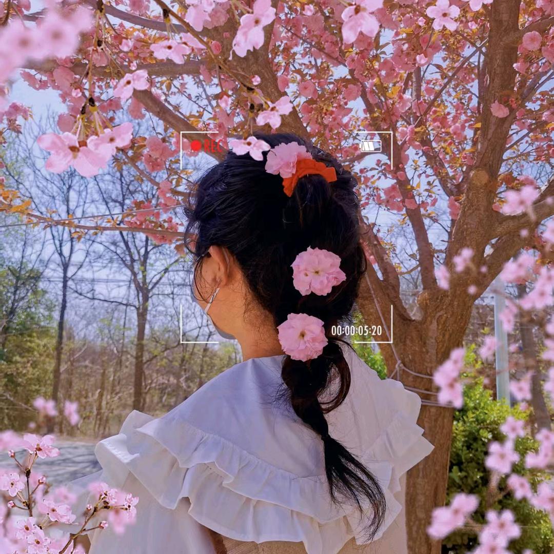 小杨de日常vlog