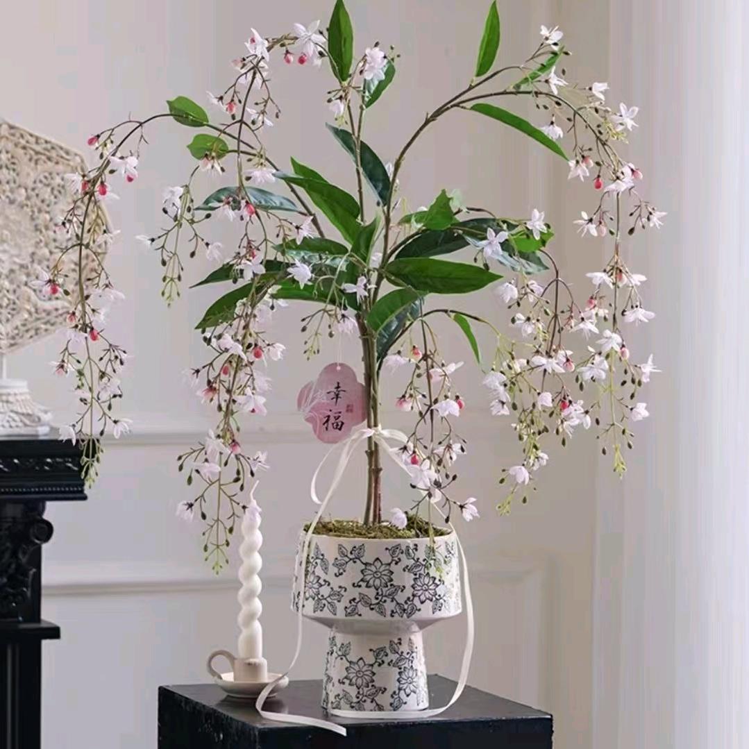 阿杜《花盆批发》