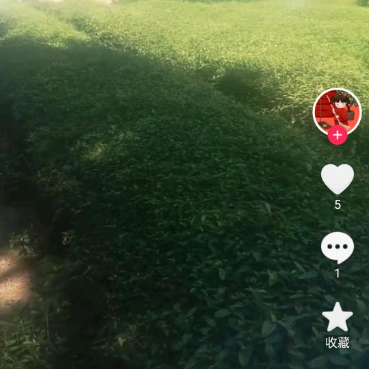 一帆风顺