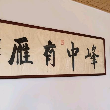 峰中有雁