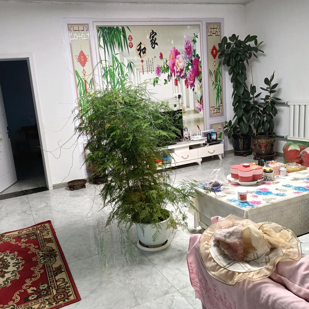 逍遥老翁不逍遥