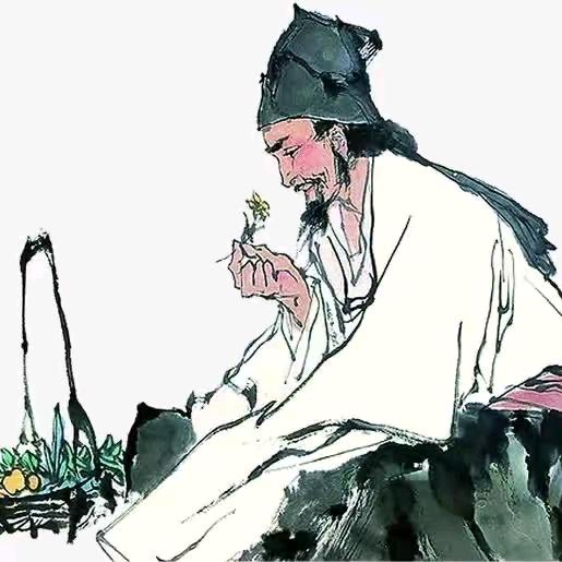 中医爱好者 分享 橱窗带货