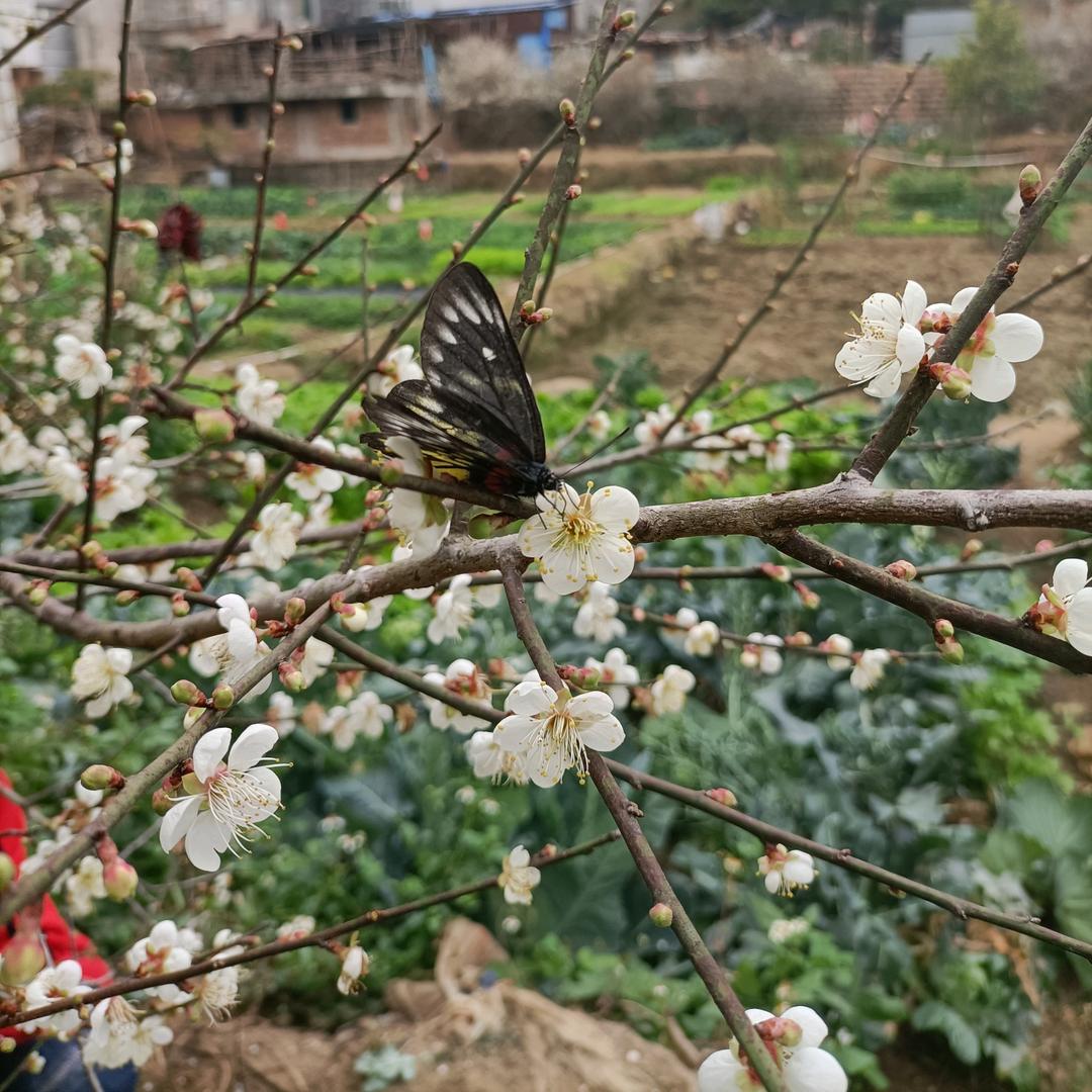 温暖我家