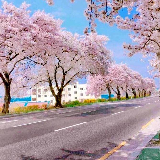 汪奎