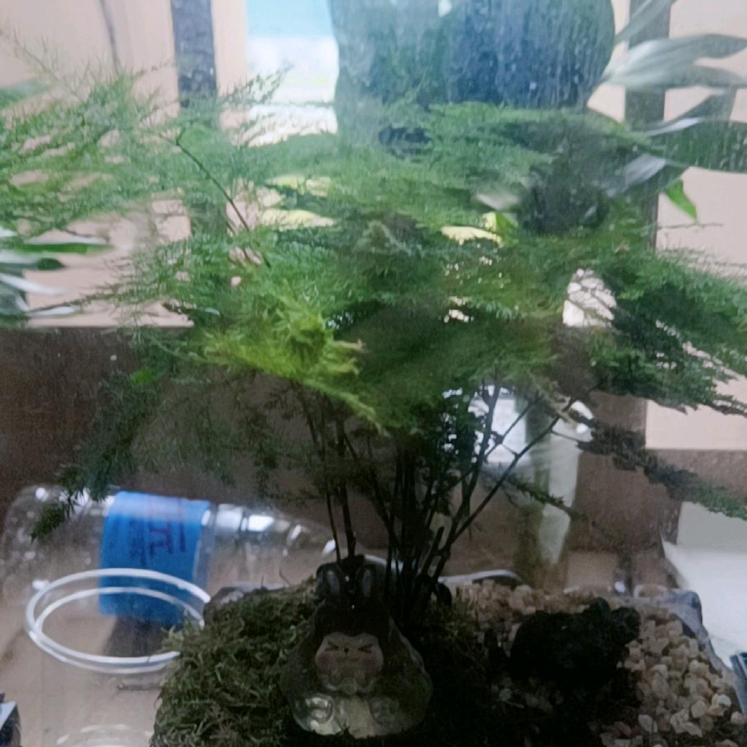 好就开心