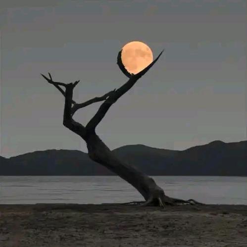 人心难测