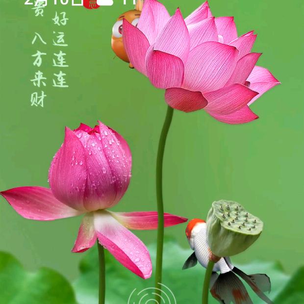 暖暖☀️