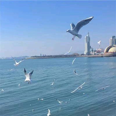 业余游戏搬砖老楚