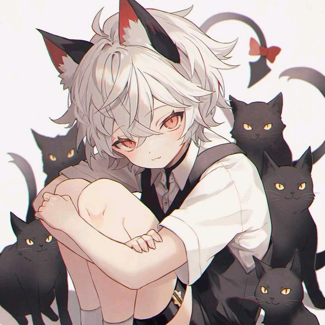 坟柒