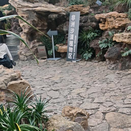 开着宝马去兜风