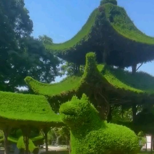 旅行者@