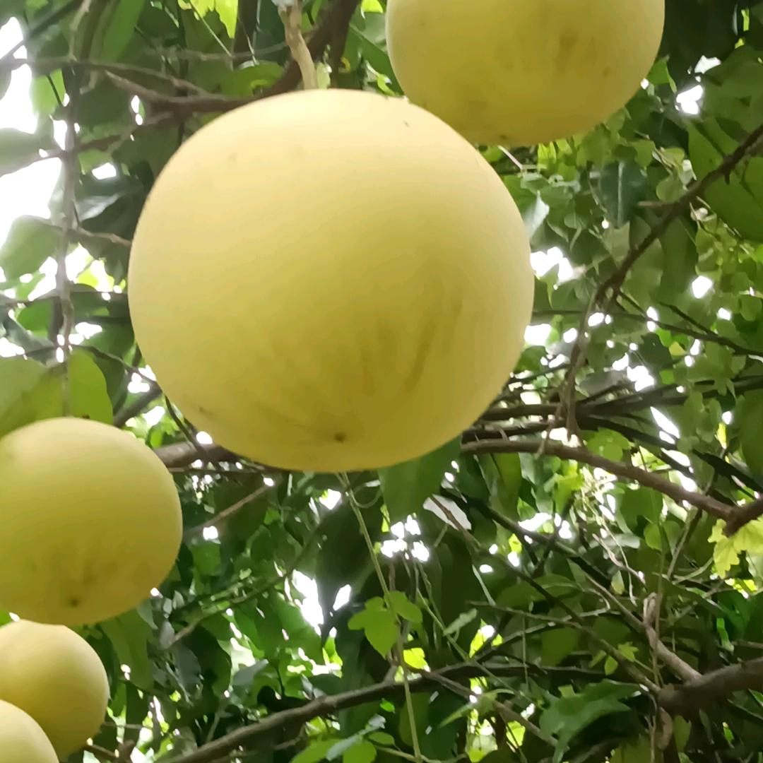 花开有你
