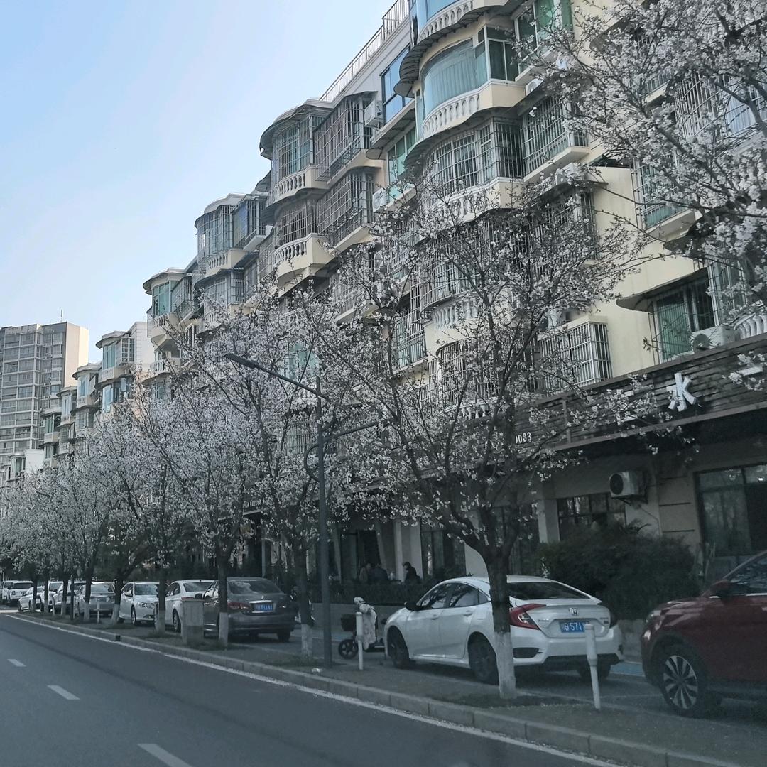 蒋老师不讲课