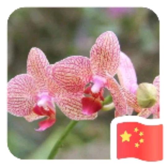 Xiaohebao6970