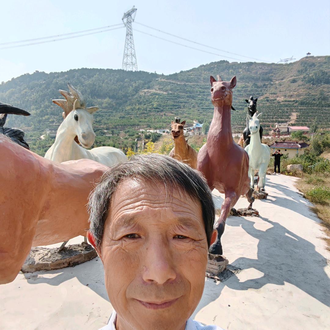 热爱收藏