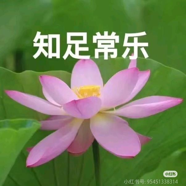 花开富贵好运常在