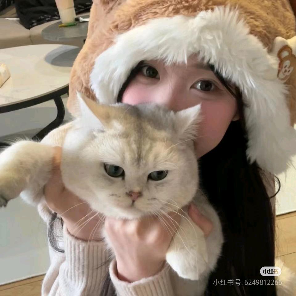 鱼丸子