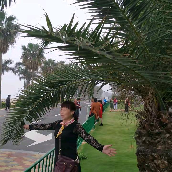 黑土夫人💃🏾