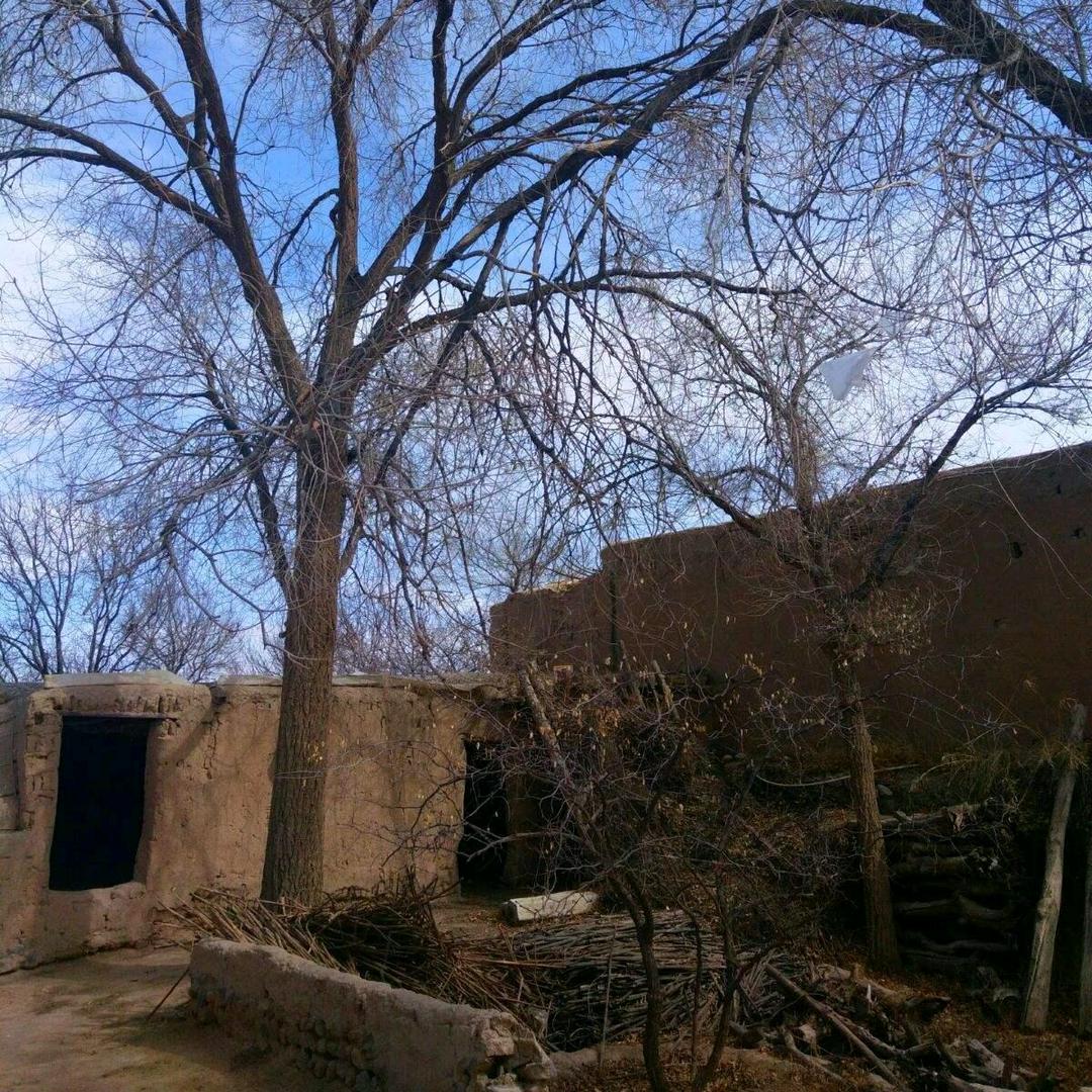 七七&