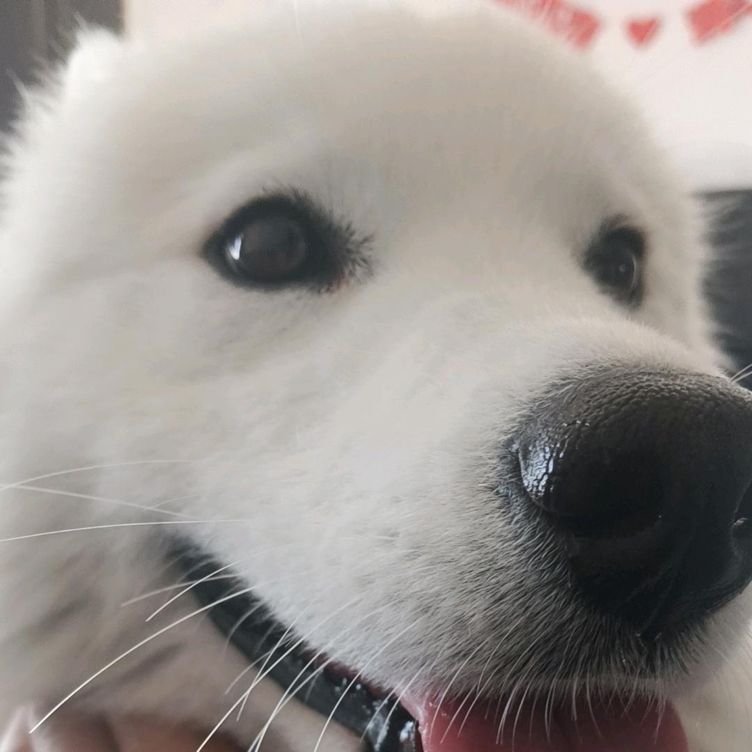 如风随影