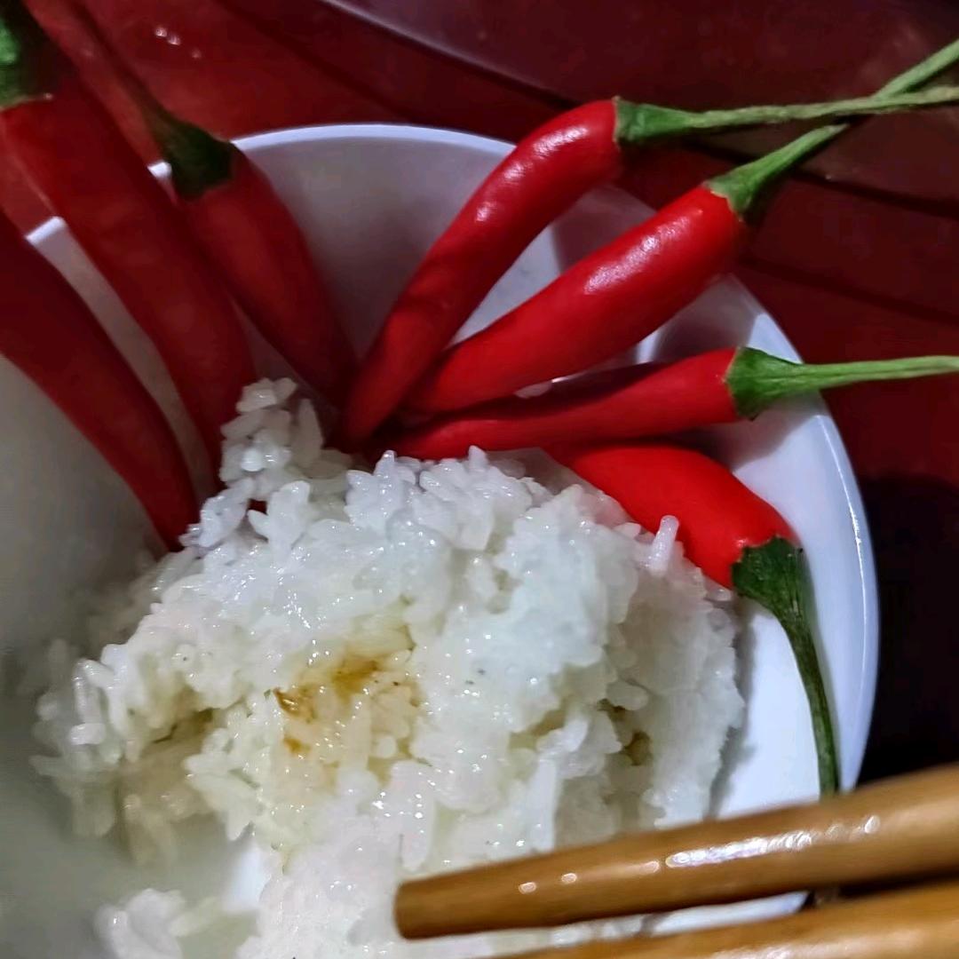 到处流浪