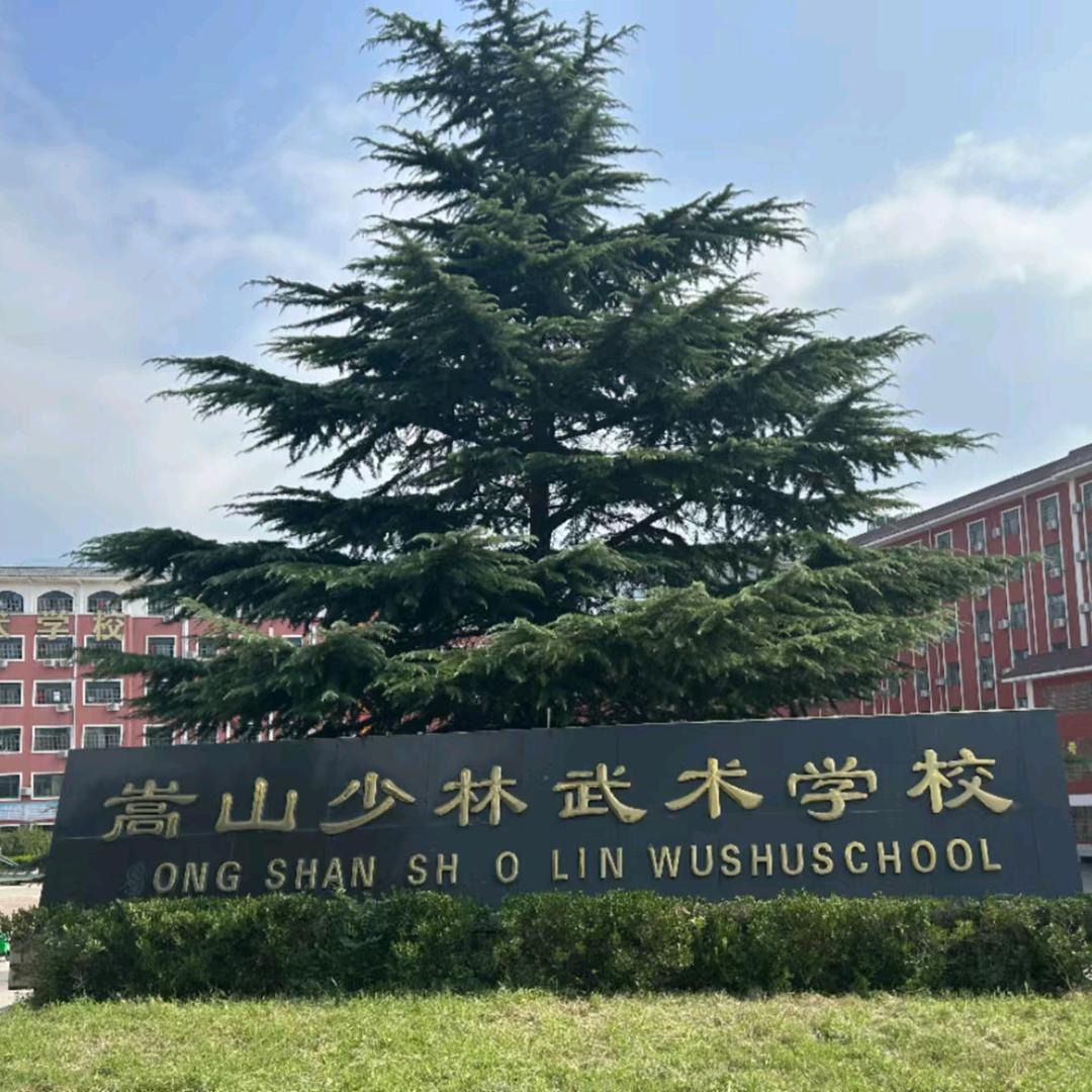河南嵩山少林武术学校
