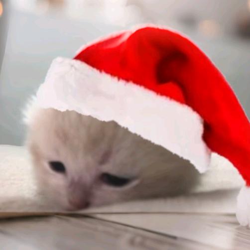 。。。