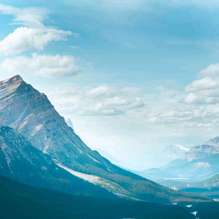 开州佳友家居广场杨金令