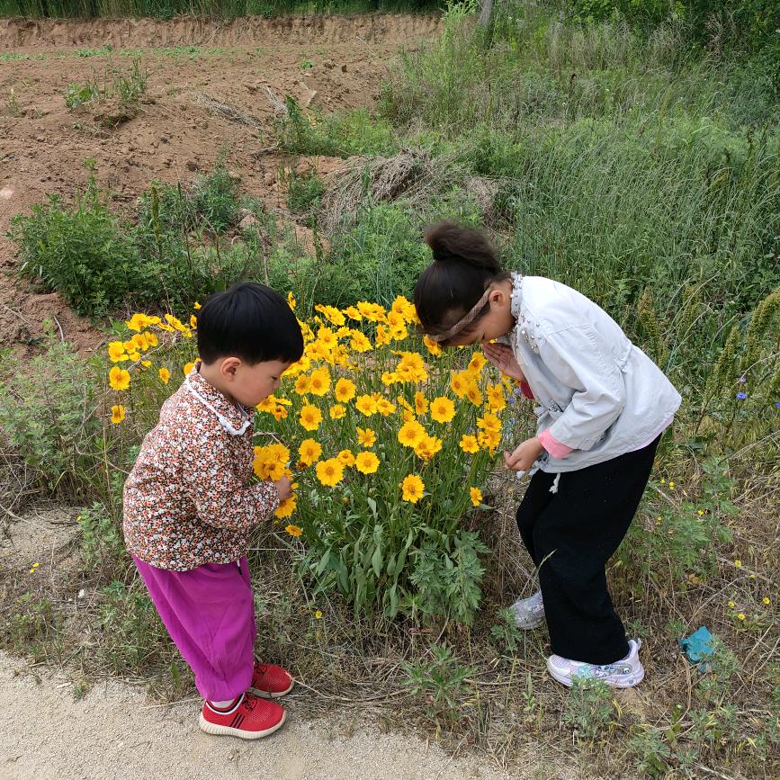 假装不忙🐠🐟🐠🐟