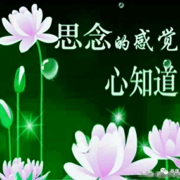 ༺๑꧁🍁天涯明月313꧂๑༻