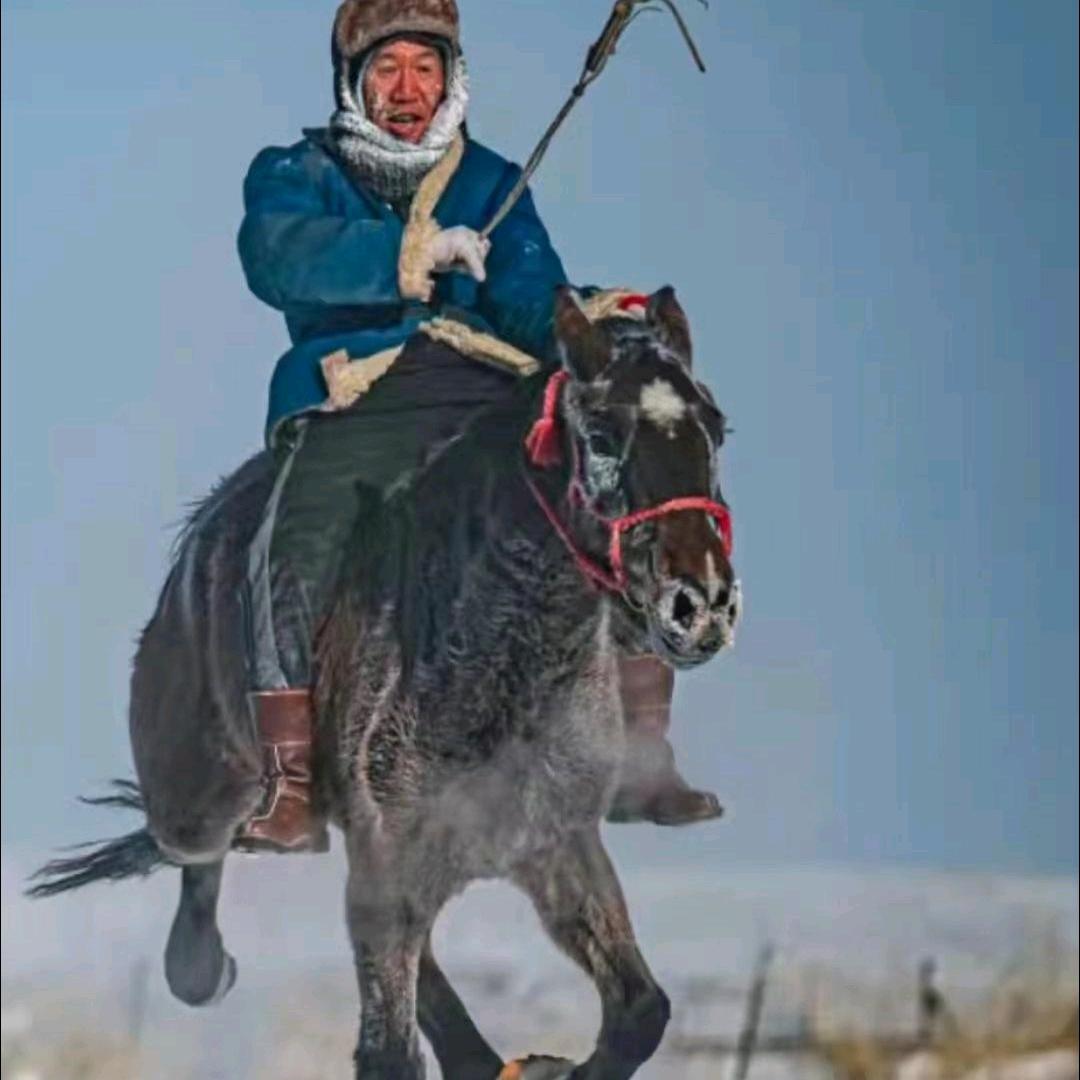 爱蒙古马的骑术