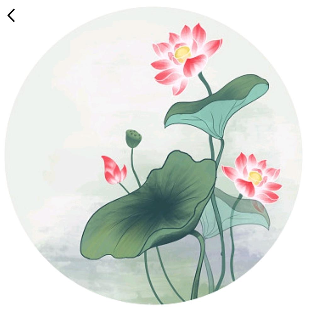 法雨