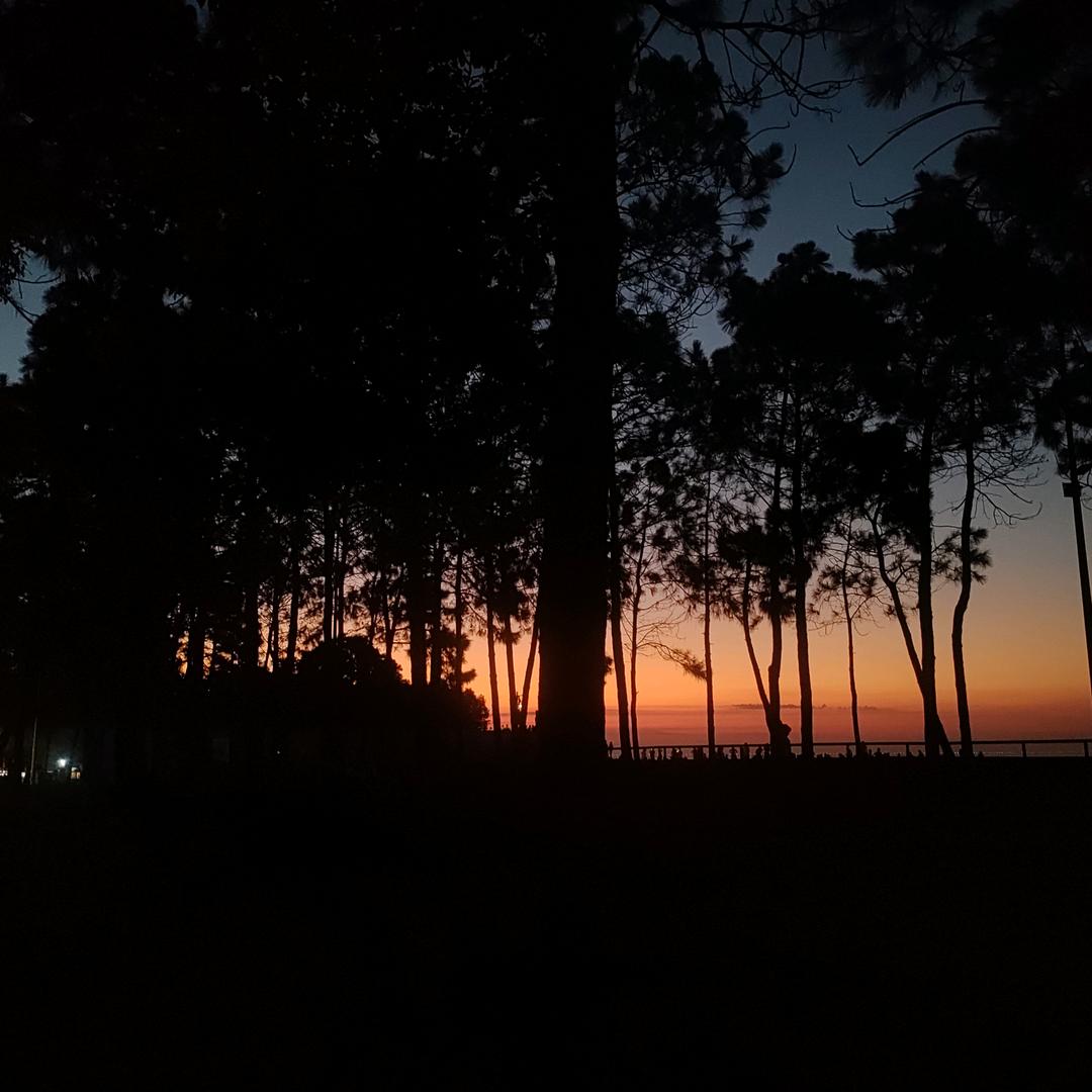 国际精品营销店